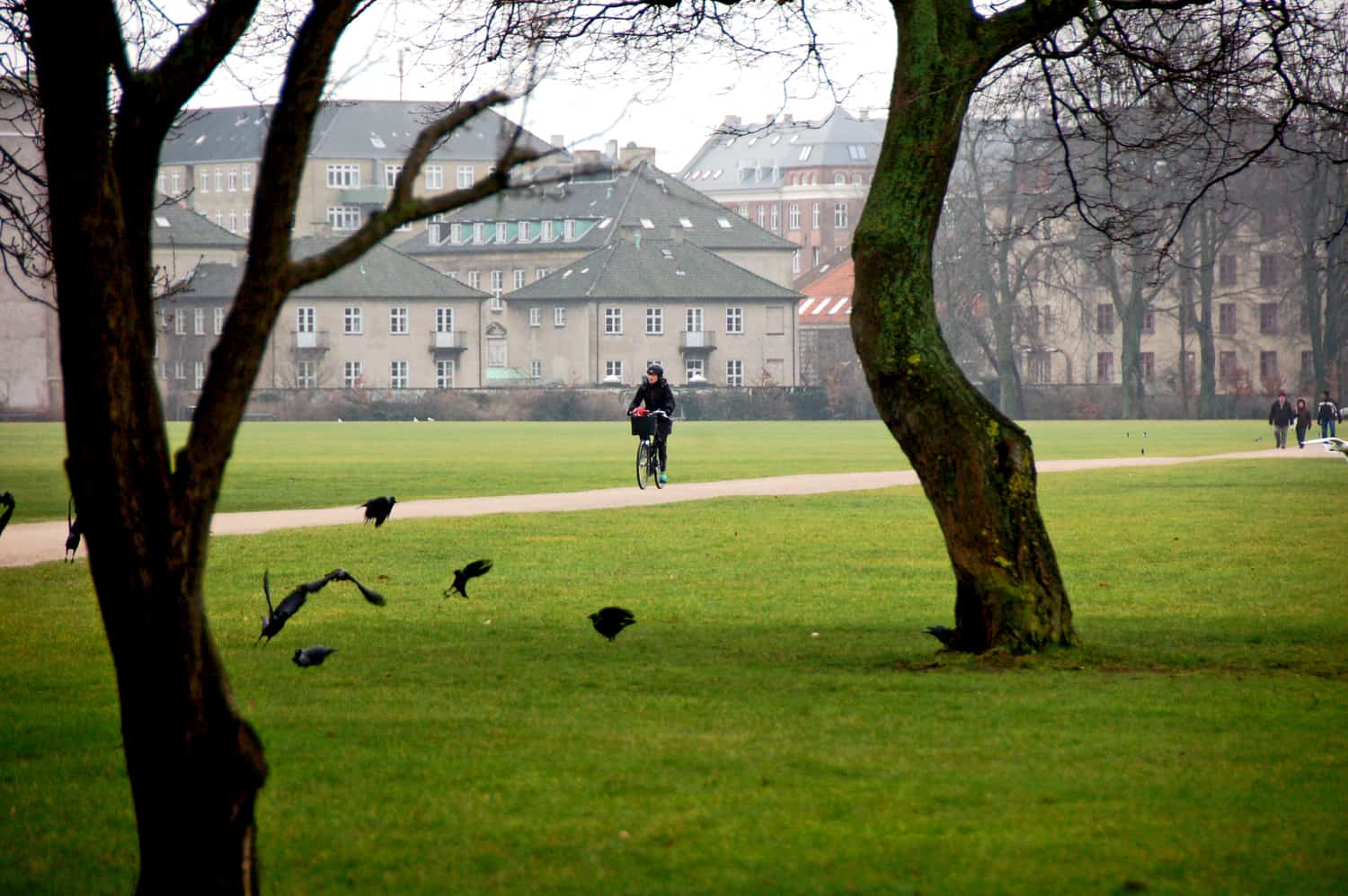 Feel the fresh smell of damp grass after rain on the way to work? Check! 