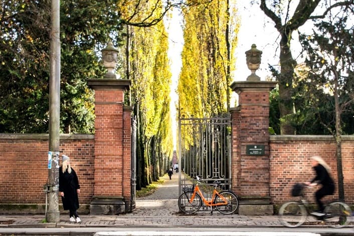 Give your Donkey some rest while you have a stroll around Assistens Kirkegård