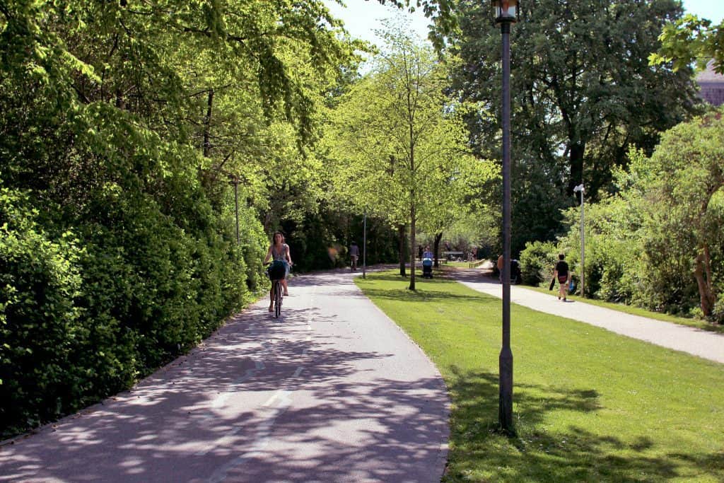 Bike lane in Copenhagen