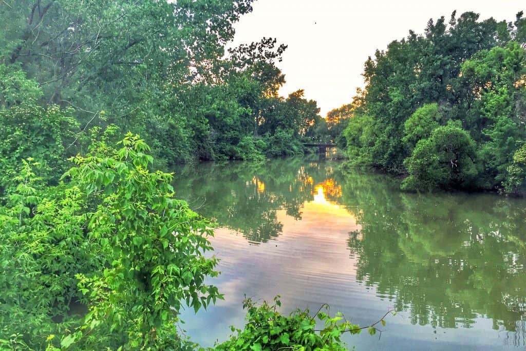 Mills Creek view at sunset