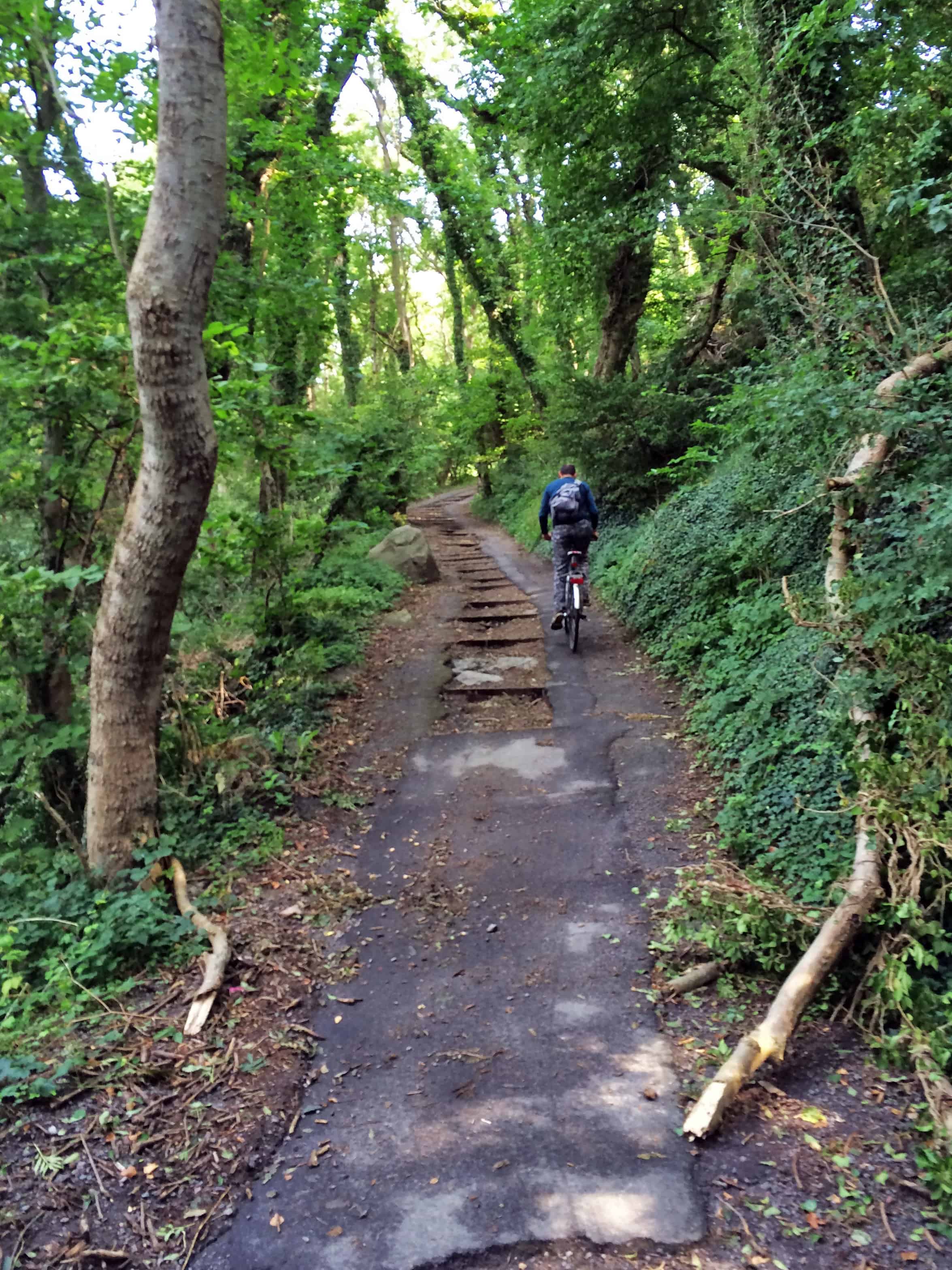 Off-road bike ride