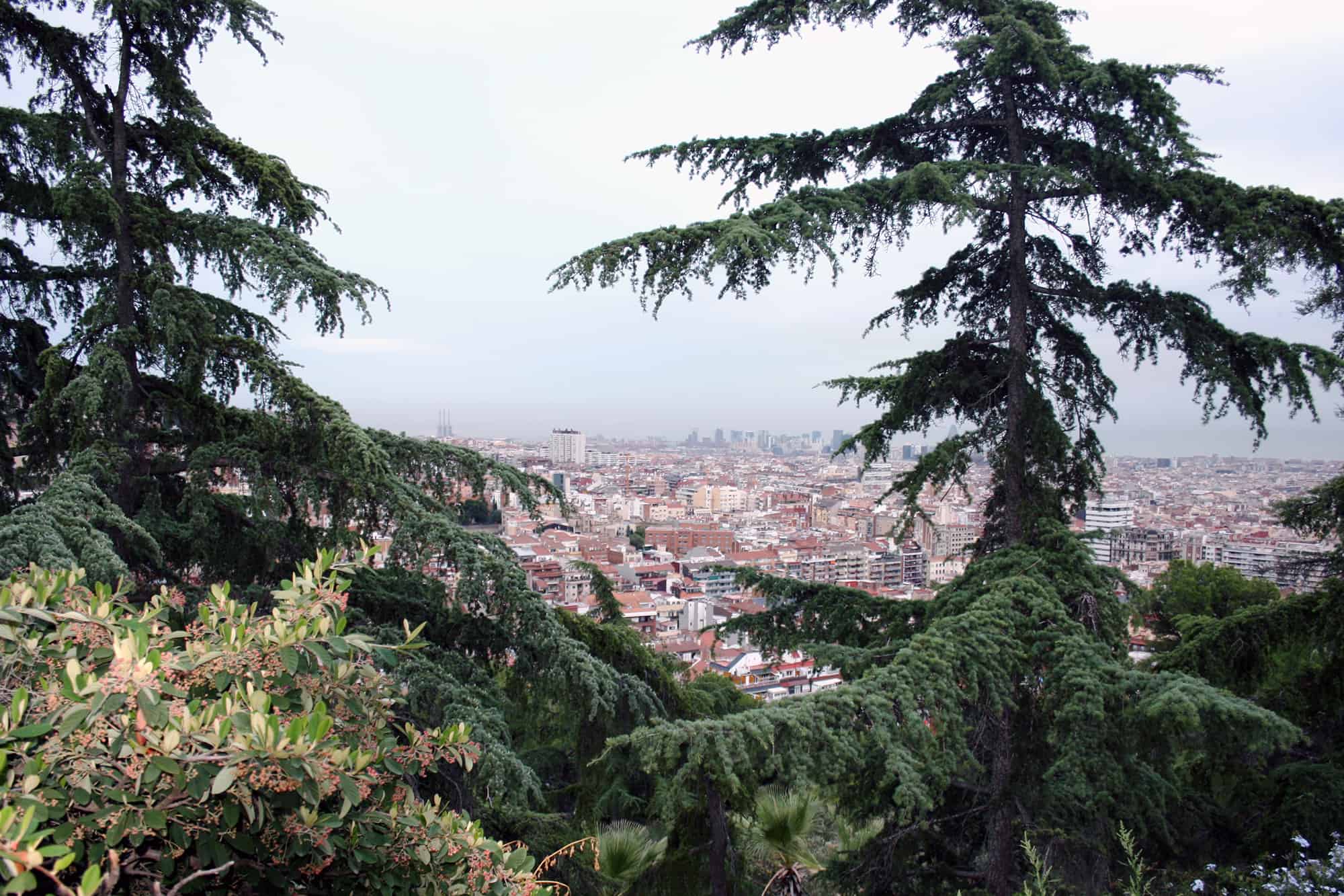 Bike tour in Barcelona, at Jardins del Putxet