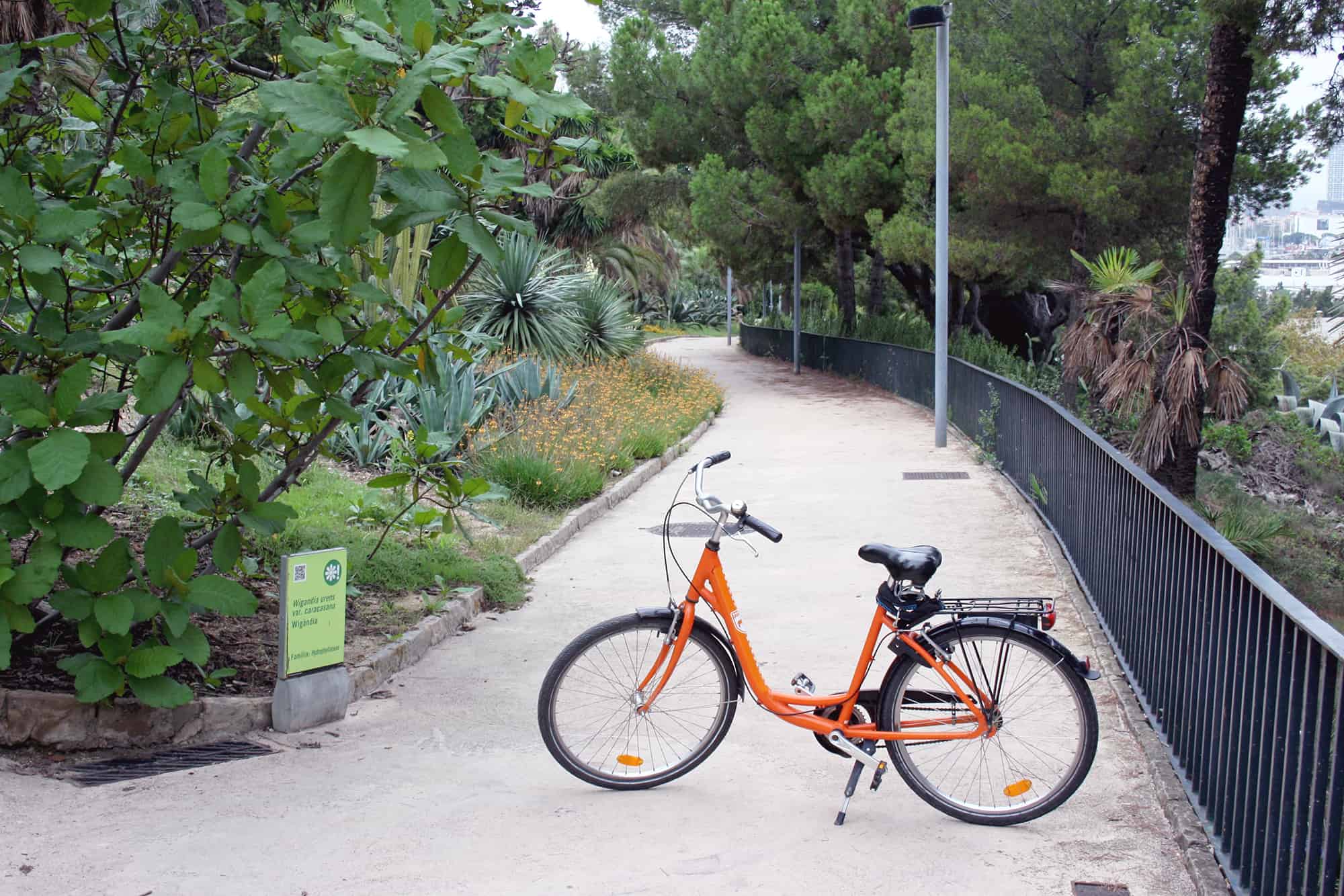 Bike tour in Barcelona, at Jardins de Joan Brossa