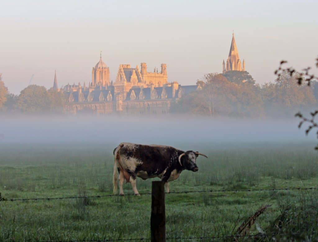 Christ Church Meadow. Photo credit: Tejvan Pettinger (CC0)