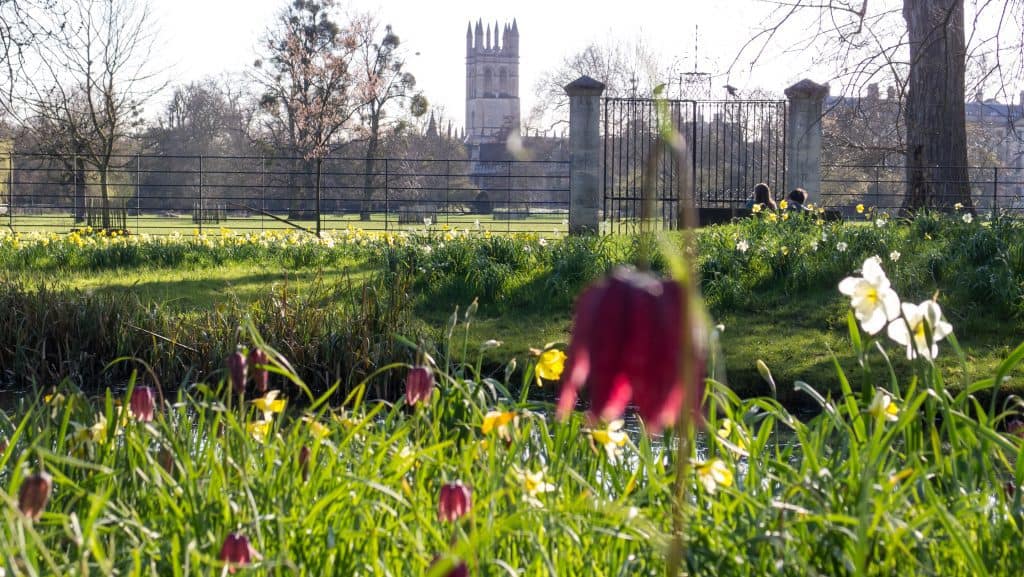 Magdalen College. Photo credit: Ed Webster (CC0) 