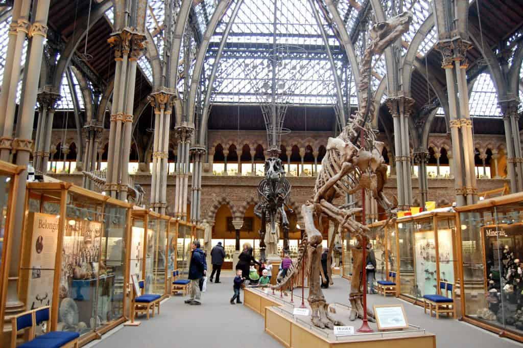 Oxford University Museum of Natural History. Photo credit: Magnus D (CC0)