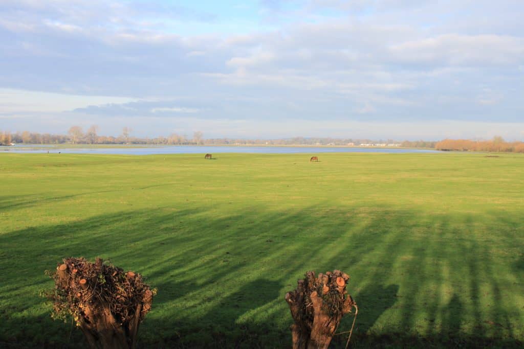 Port Meadow. Photo credit: Tejvan Pettinger (CC0)