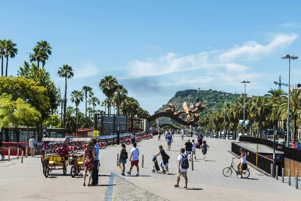 Why you should visit Barcelona in February Donkey Republic