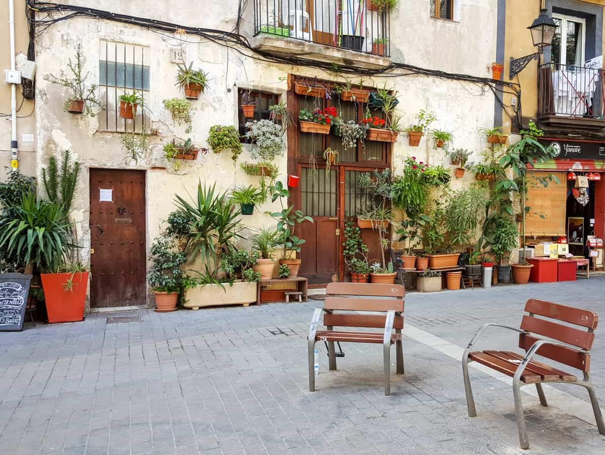 Hidden Barcelona - House plants