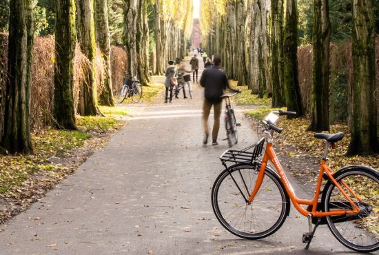 Autumn Tips: 8 things to do in Copenhagen