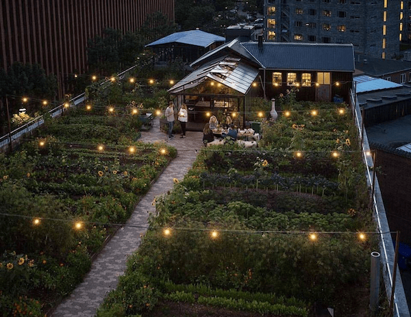 Rooftop garden restaurant Østergro in Copenhagen