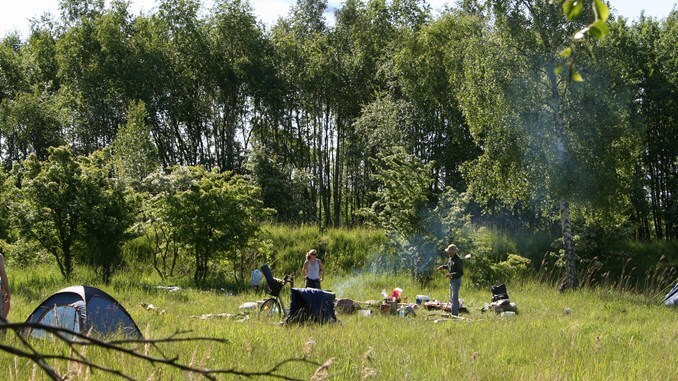 Amager-faelled-parken-copenhagen-nature