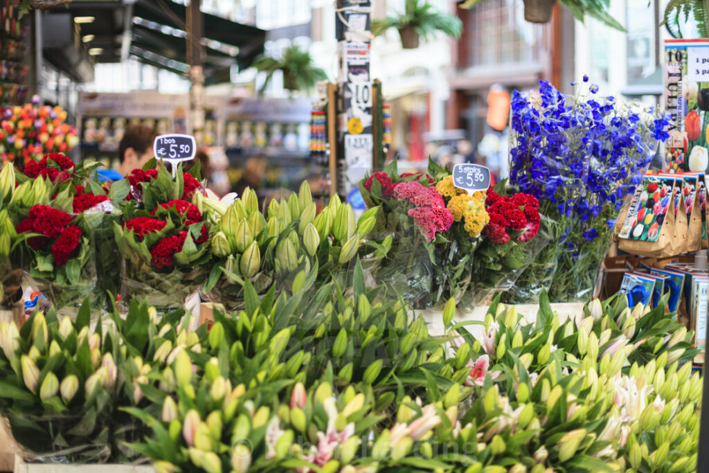 floating-Bloemenmarkt-flower-market-amsterdam