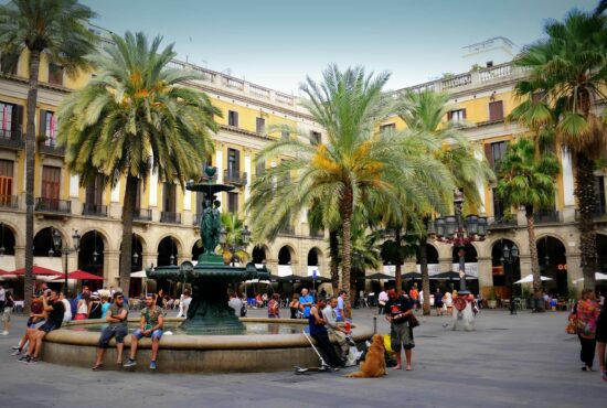 Entdecken Sie Barcelona wie die Einheimischen: der ultimative Fahrrad-...