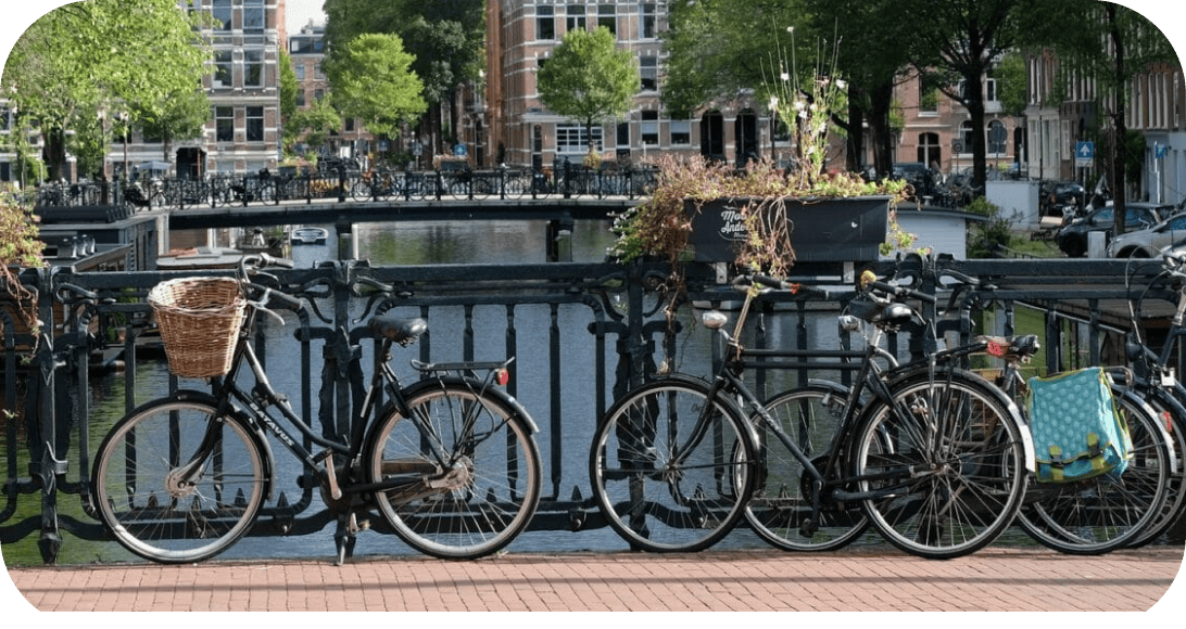 things to do in amsterdam