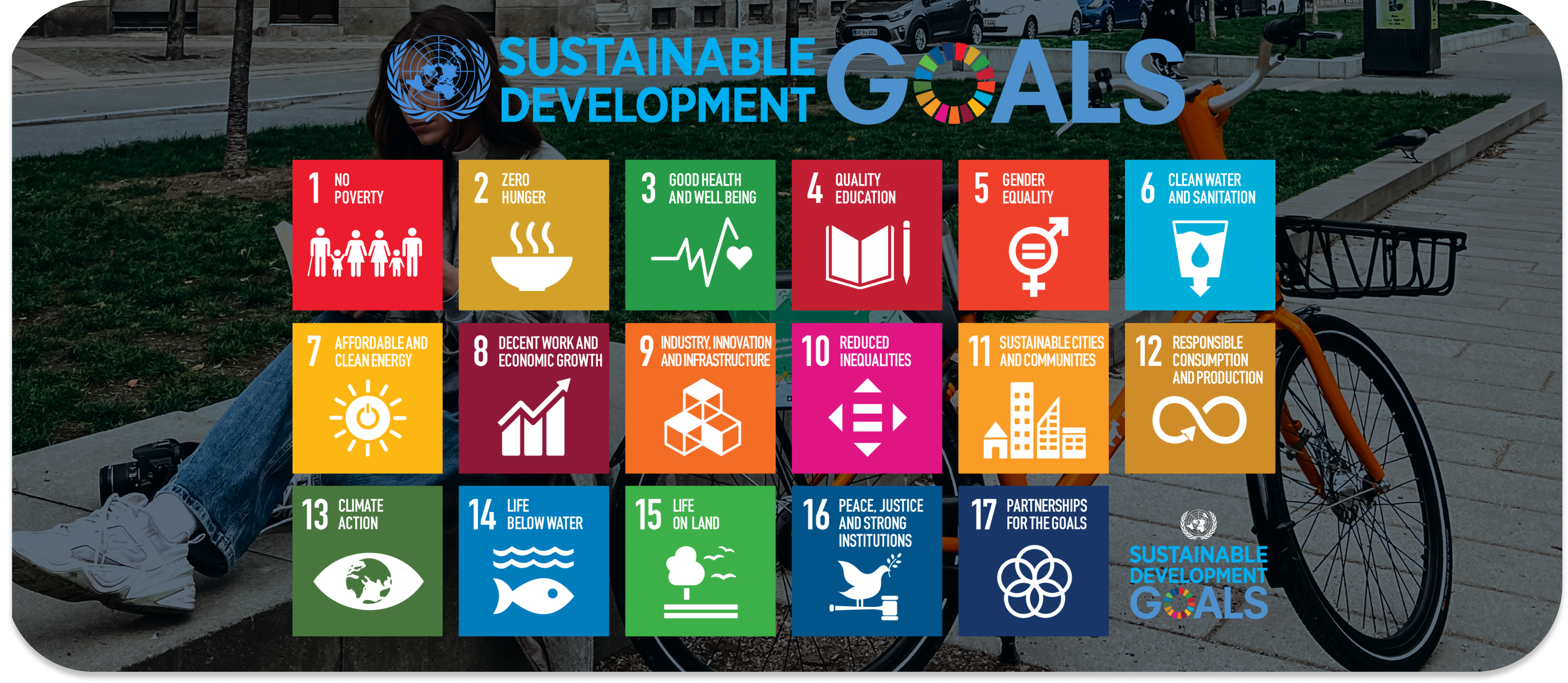 UN Sustainability goals
